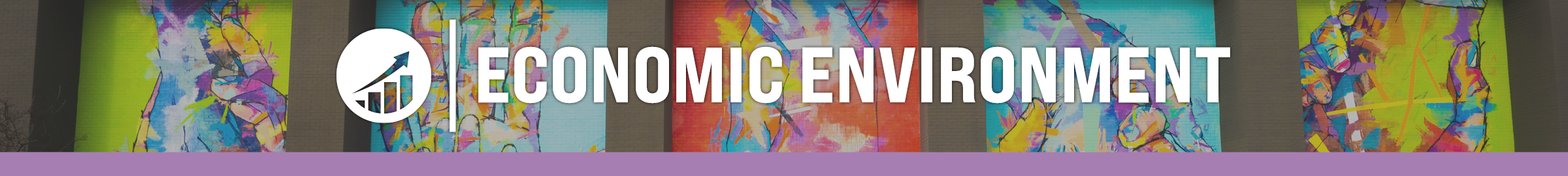 Economic Environment