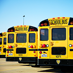 School Buses